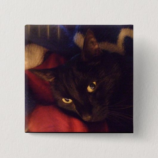 ほとんどのハンサムなボタン 缶バッジ (正面)