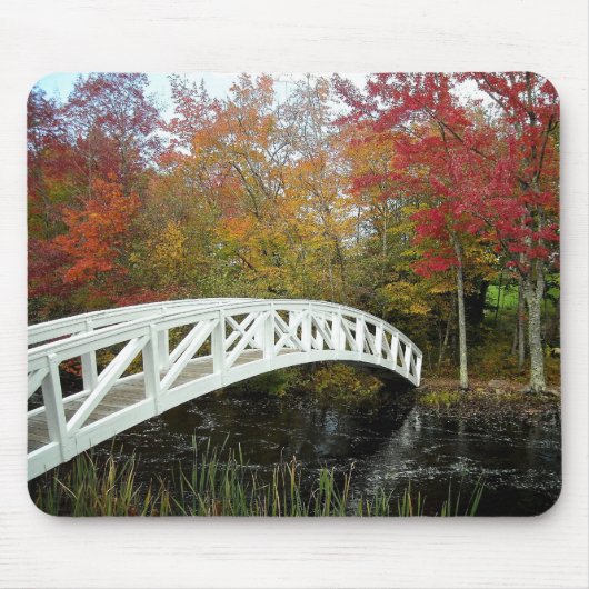 ほとんどは点を撮影しました マウスパッド (正面)