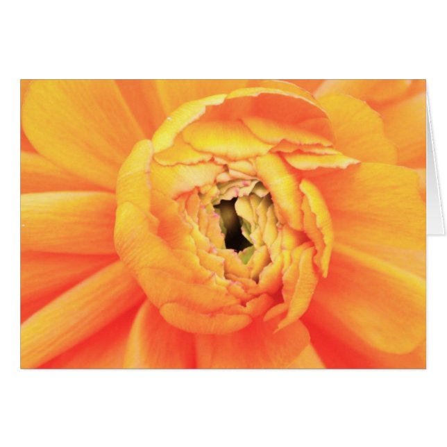 ほどくこと (正面横)