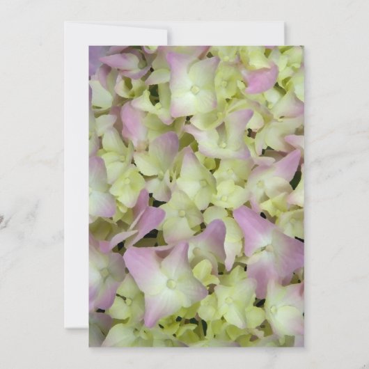 ほぼピンクのあじさい花すべて激怒パーティー 招待状 (裏面)