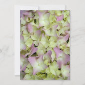 ほぼピンクのあじさい花キンセアニラパーティー 招待状 (裏面)