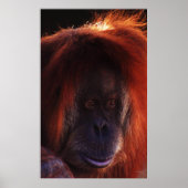 ほぼ人間の ポスター (正面)