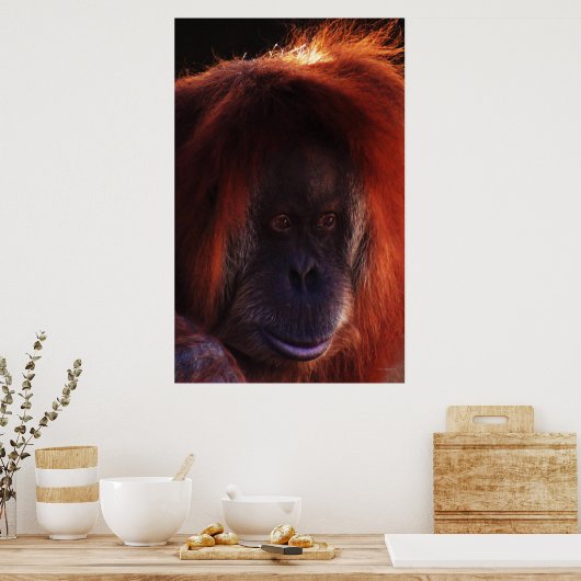 ほぼ人間の ポスター (キッチン)