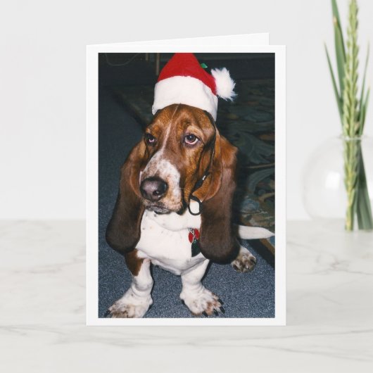 ほぼ最大 シーズンカード (正面)