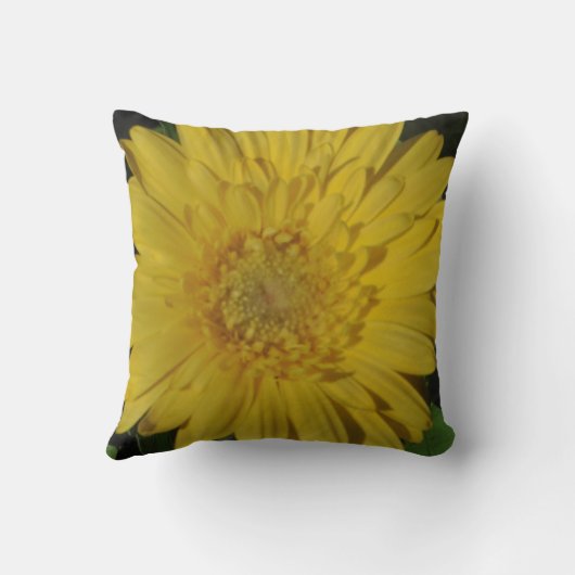 ほぼ黄無地の色のガーベラデイジー枕 クッション (裏面)