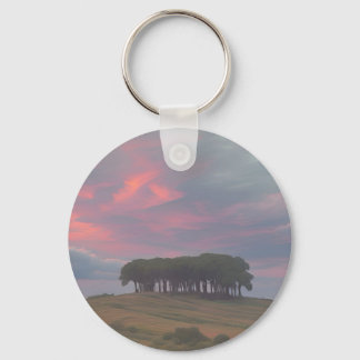 ほぼThere/ホームキーチェーン キーホルダー