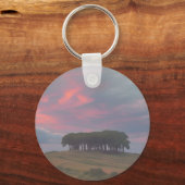 ほぼThere/ホームキーチェーン キーホルダー (正面)