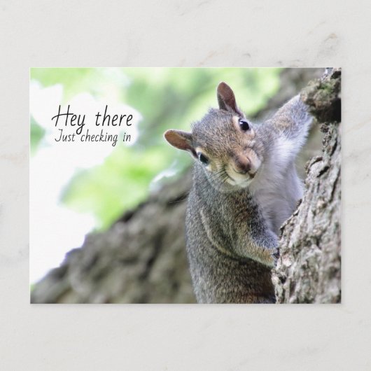 ほら葉書をチェックするだけ ポストカード (正面)