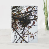 ほろ苦い巣 カード (正面)