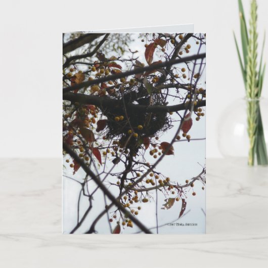 ほろ苦い巣 カード (正面)