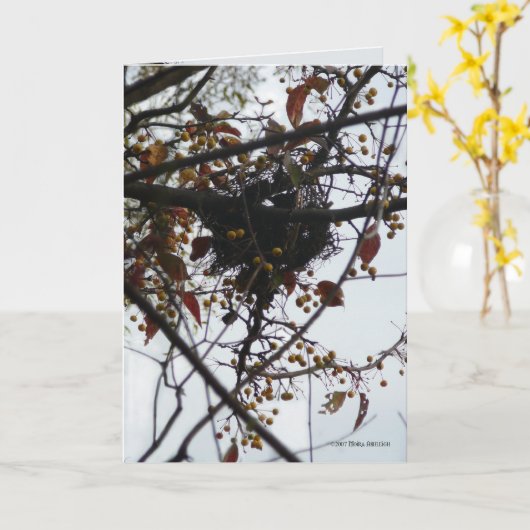 ほろ苦い巣 カード (黄色い花)