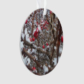 ほろ苦い果実のオーナメント オーナメント (正面)