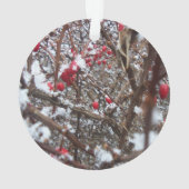 ほろ苦い果実のオーナメント オーナメント (裏面)