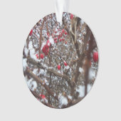 ほろ苦い果実のオーナメント オーナメント (正面)