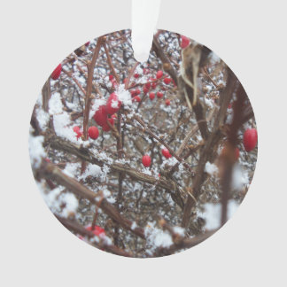 ほろ苦い果実のオーナメント オーナメント