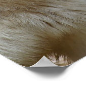 ほんの二匹の狼 ポスター (角)