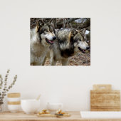 ほんの二匹の狼 ポスター (キッチン)