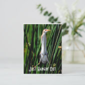 ほんの二日酔いで ポストカード (スタンド正面)