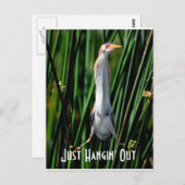 ほんの二日酔いで ポストカード (正面/裏面)