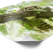 ほんの少し フォトプリント            (角)