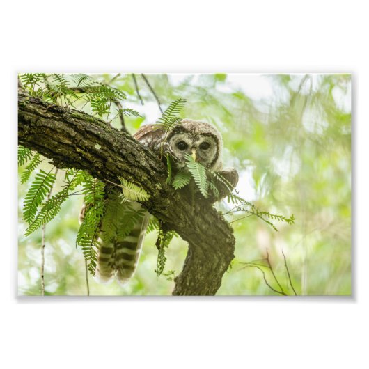 ほんの少し フォトプリント            (正面)