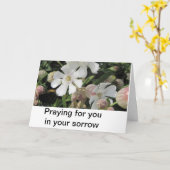 ぼうこうCampions、コーンウォール カード (黄色い花)