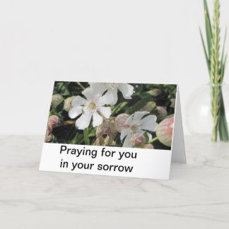 ぼうこうCampions、コーンウォール カード