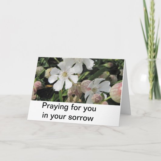 ぼうこうCampions、コーンウォール カード (正面)