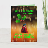 ぼくがおもしろいクリスマスに欲しいのは芝生の茶碗だけだ。 カード (正面)