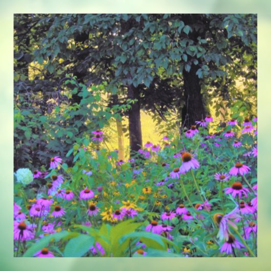 ぼくのRubio Gardenでぼんやりした朝の日の出 ウィンドウサイン (シート3)