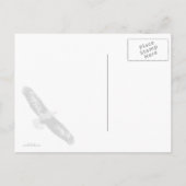 ぼくを見つめるハゲのワシ ポストカード (裏面)