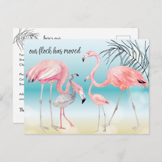 ぼけ効果のビーチにいるピンクのフラインゴファミリー 新しい住所 案内ポストカード (正面/裏面)