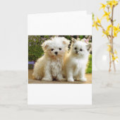 ぼやけた友達 カード (黄色い花)