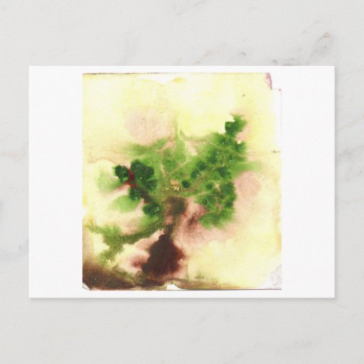ぼやけた小さな木のはがき ポストカード (正面)