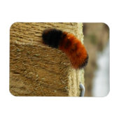 ぼやけた毛虫 マグネット (横)