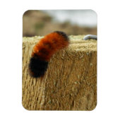 ぼやけた毛虫 マグネット (縦)