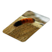 ぼやけた毛虫 マグネット (左側)