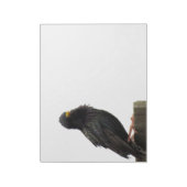 ぼやけた頭の鳥 ノートパッド (回転)