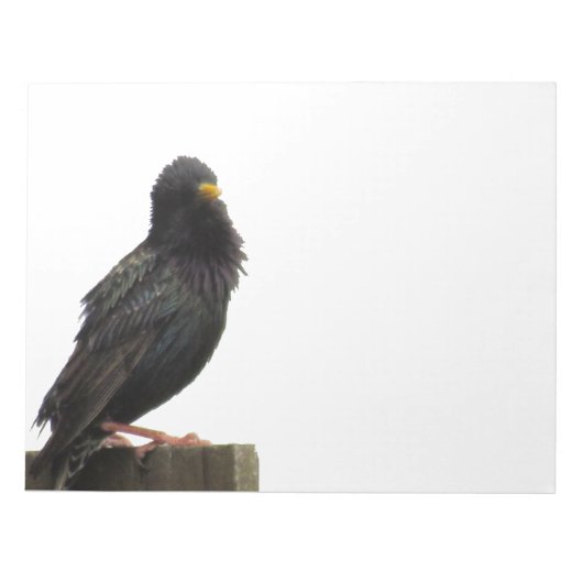 ぼやけた頭の鳥 ノートパッド (正面)