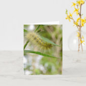 ぼやけた黄色いキャタピラ空白の- Greeting Card カード (黄色い花)