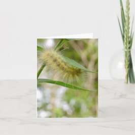 ぼやけた黄色いキャタピラ空白の- Greeting Card カード