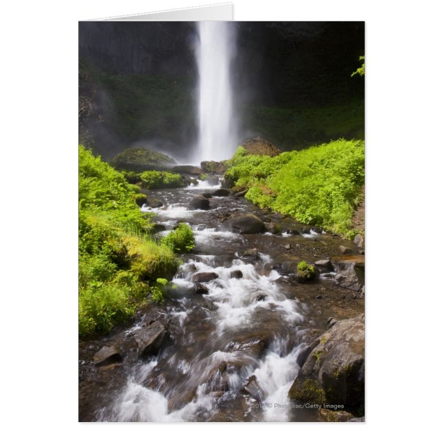 ぼやけられた滝および川 (正面)