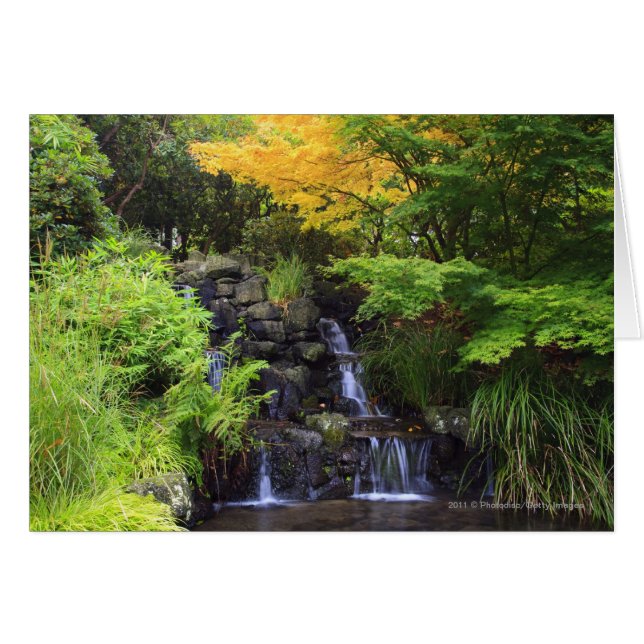 ぼやけられた石の緑滝、かえで及びオレンジ木 (正面横)
