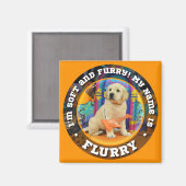 ぼやけ名磁石 マグネット (正面/裏面)