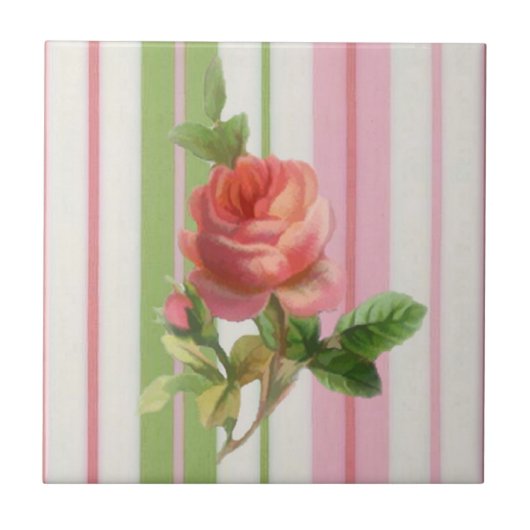 ぼろぼろのばら色のタイル タイル (正面)