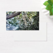 ぼろぼろのシックで白い水晶シャンデリア (デスク)