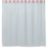 ぼろぼろのシックで青い及びピンクのダマスク織wは及びレース曲がります シャワーカーテン (正面)