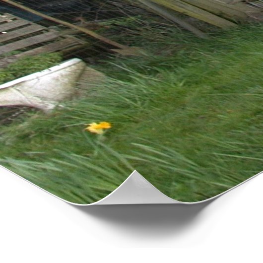 ぼろぼろの古い構造 ポスター (角)