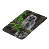 ぼんやりしたベビー マグネット (左側)