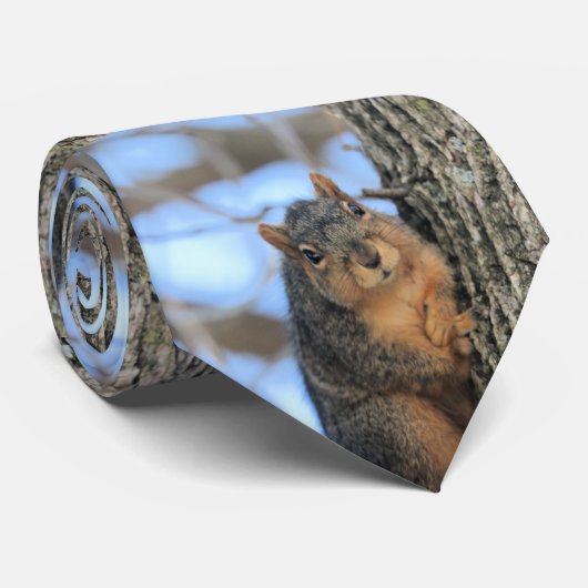 ぽちゃりと ネクタイ (ロール)